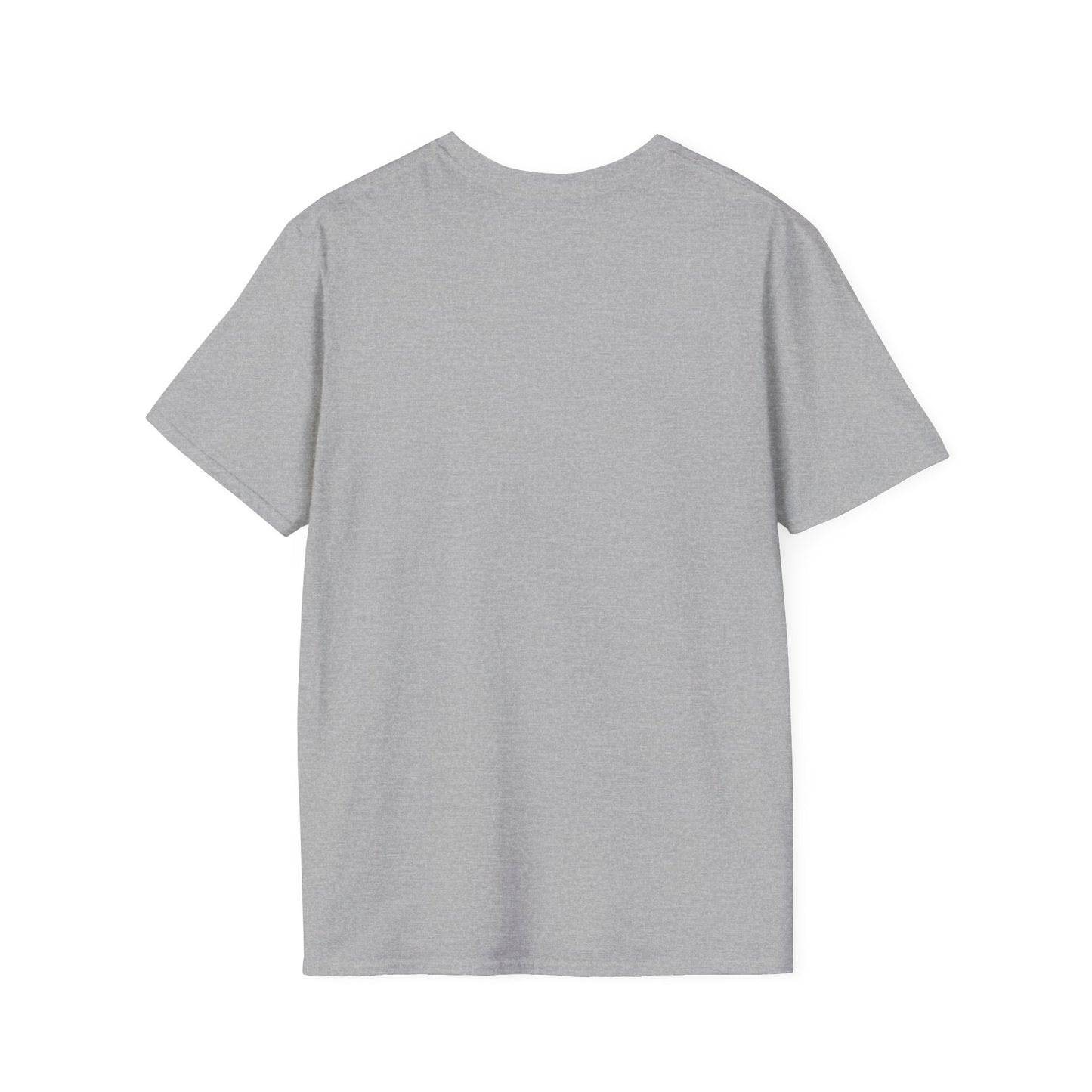 Back view of a unisex softstyle grey tee, perfect for gym workouts and casual wear.