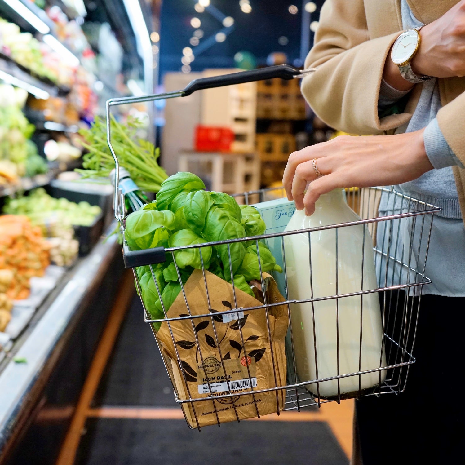 Grocery basket filled with fresh basil and milk in a supermarket aisle, showcasing local produce.