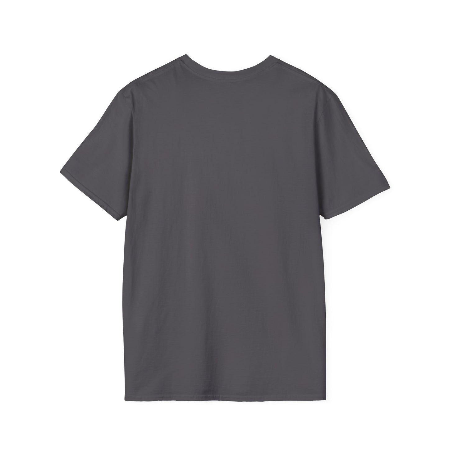 Back view of a comfortable unisex gray t-shirt, perfect for gym lovers and casual outings.