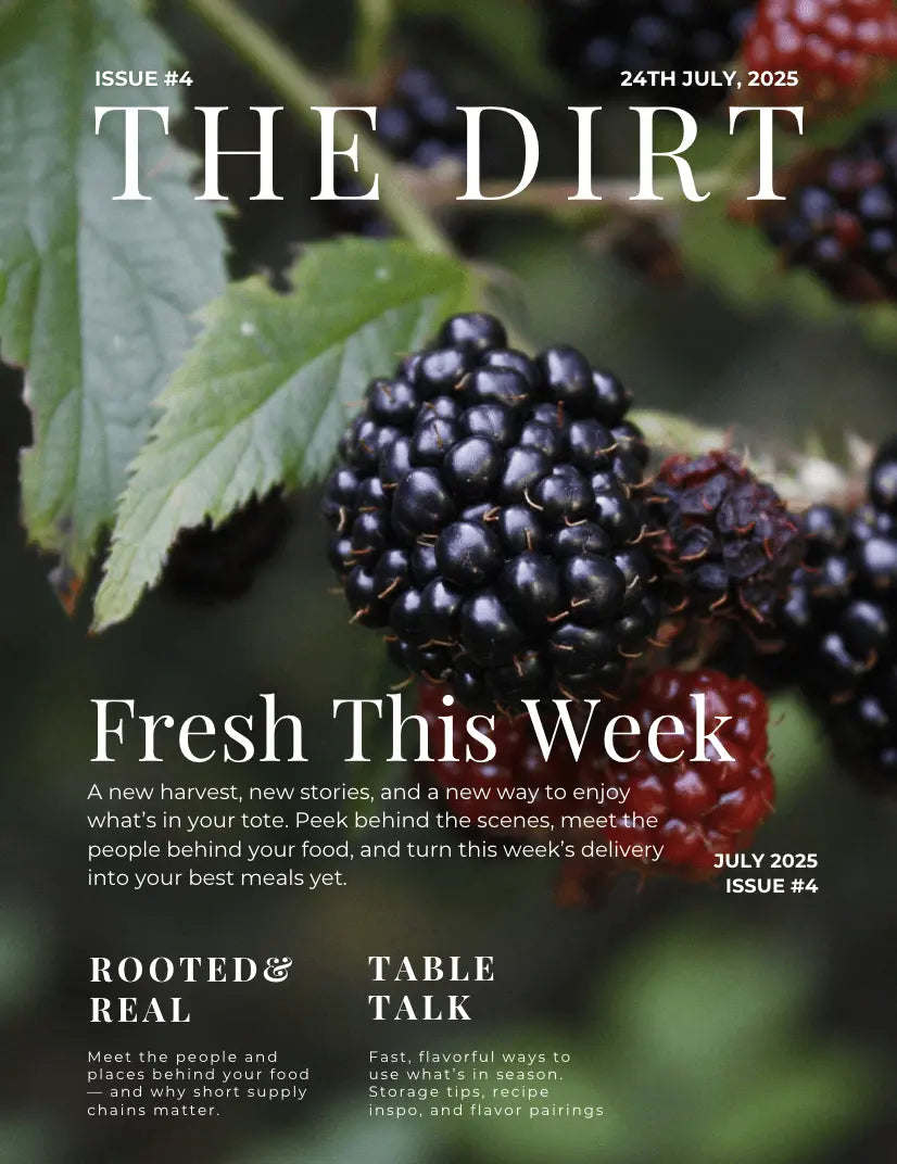 The Dirt: Issue 4 — Summer’s Peak, Community Roots featuring fresh blackberries and summer produce.