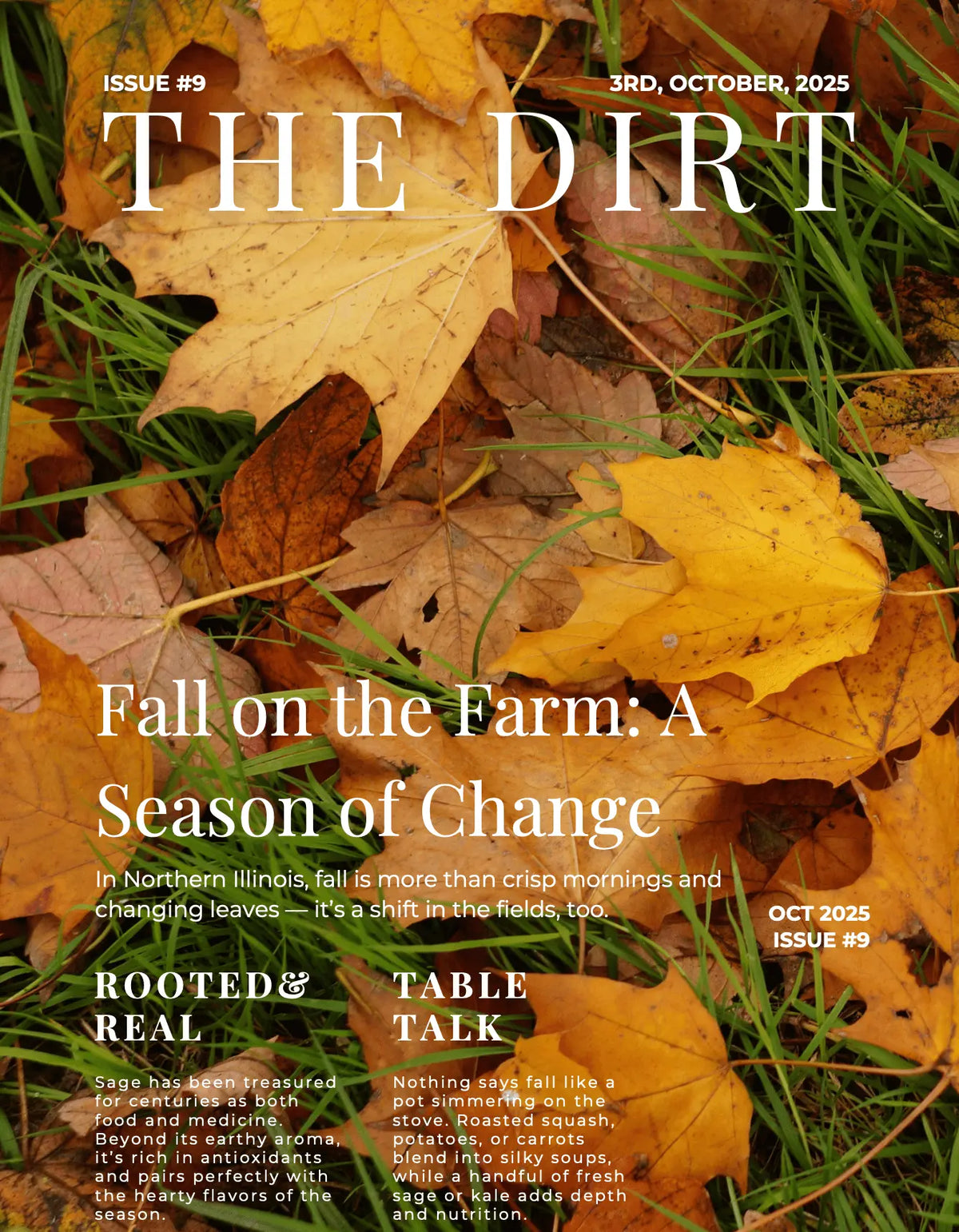 🍁 The Dirt, Issue #9: A Season for Slowing Down Iron & Acre