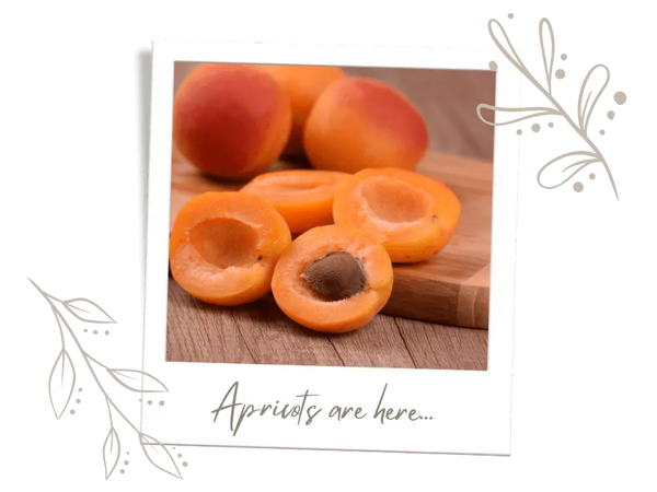 🍑 Apricot Crumble