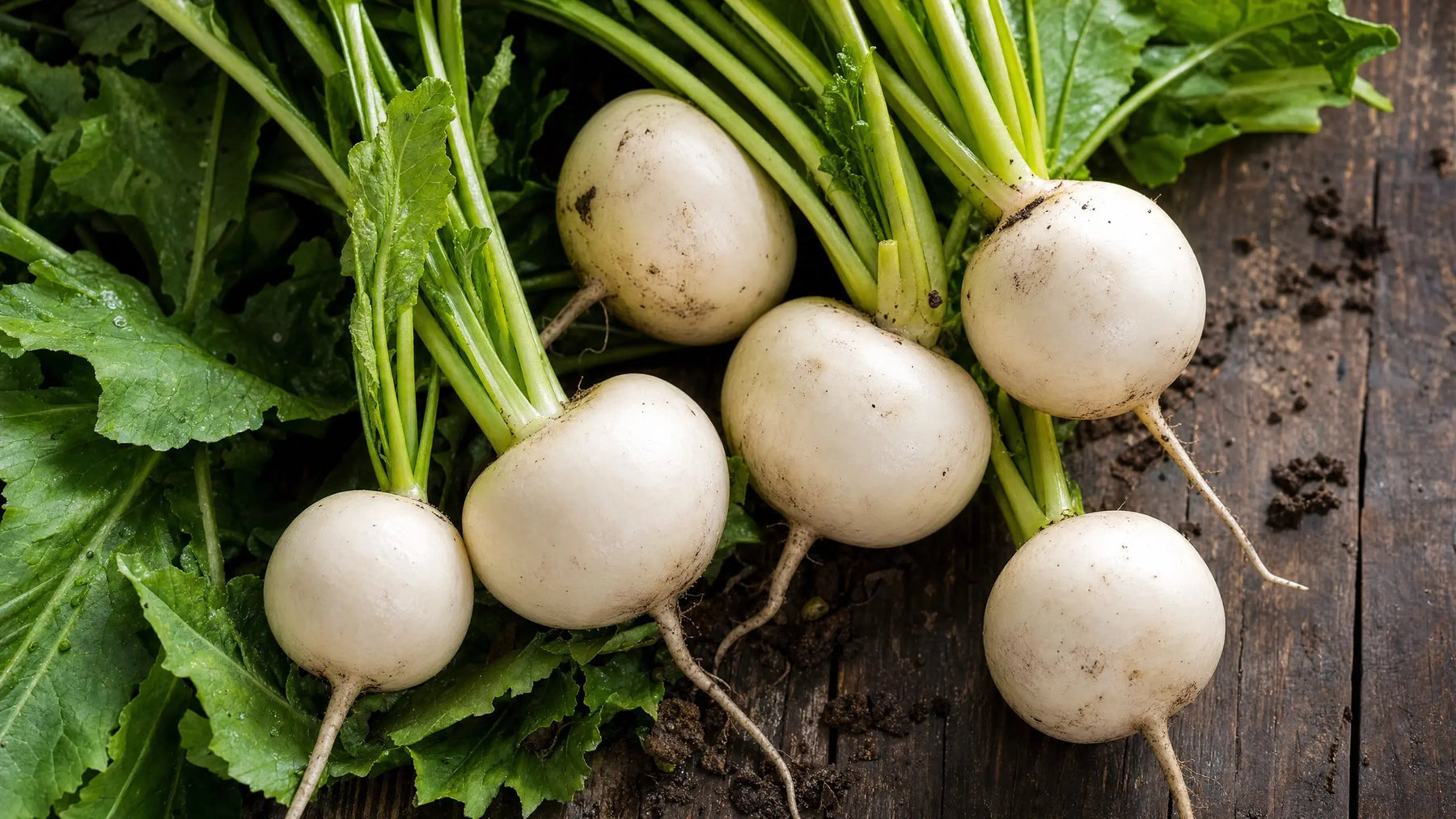 Hakurei turnips from Kath Family Farms — May 14 delivery