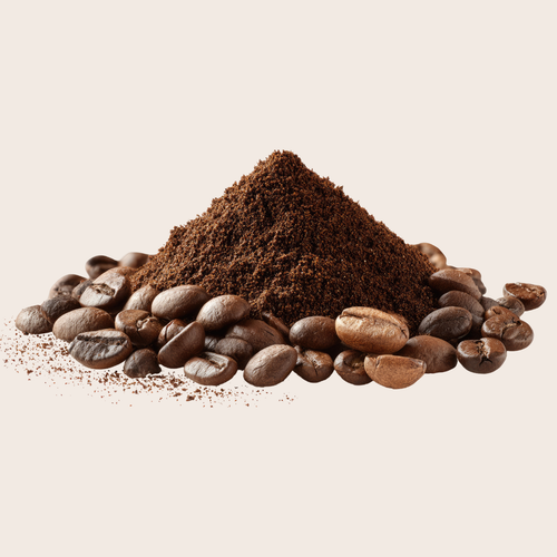 The Wild Roaster Coffee