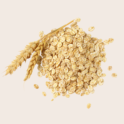 Organic Rolled Oats (32oz)