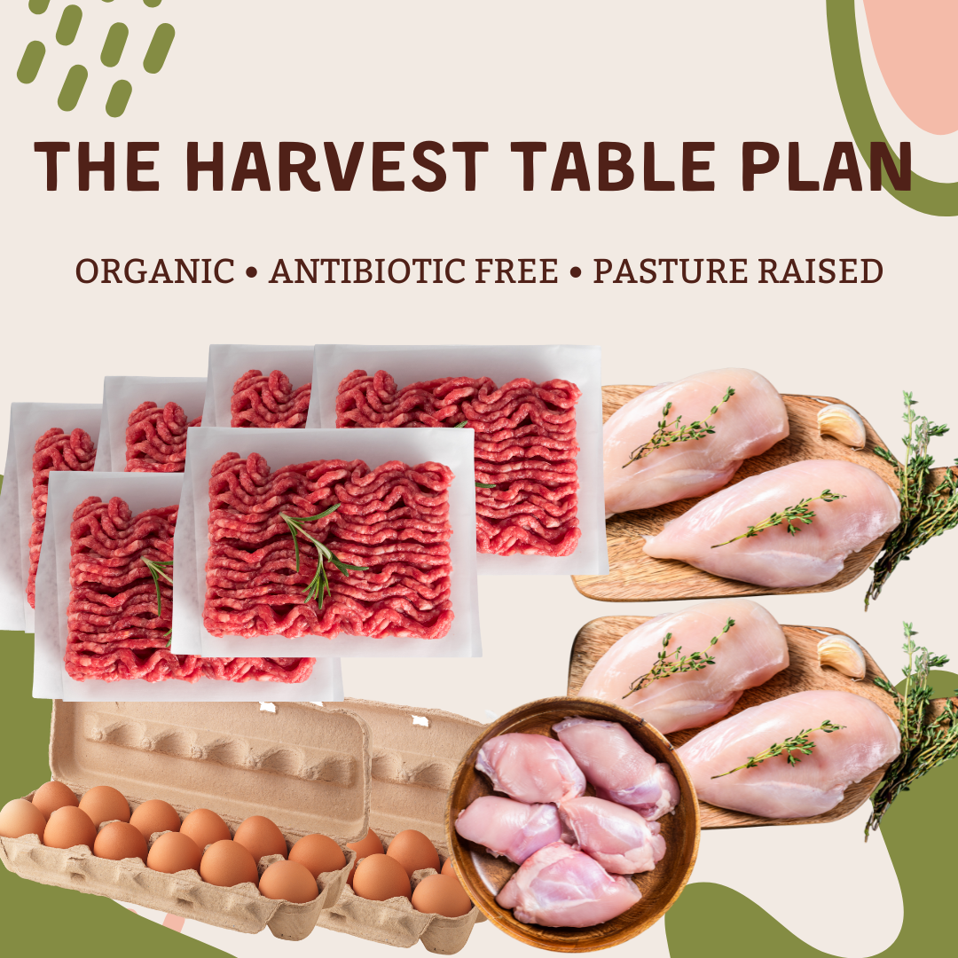 The Harvest Table Plan