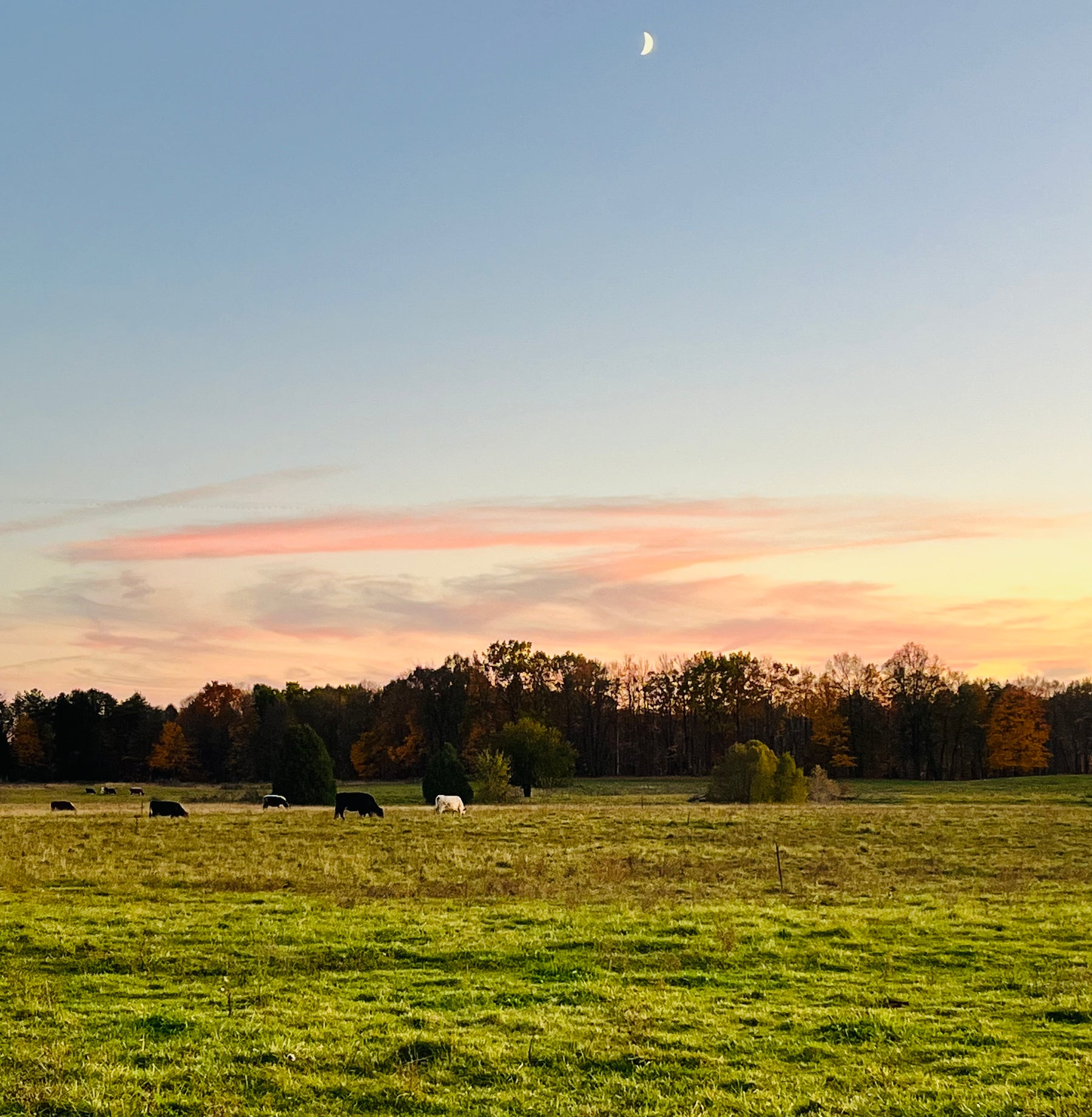 Knollwood Farm — West Bend, Wisconsin