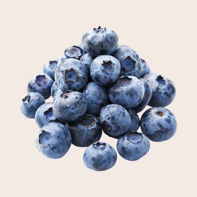 Wild Blueberries (1 Pint)