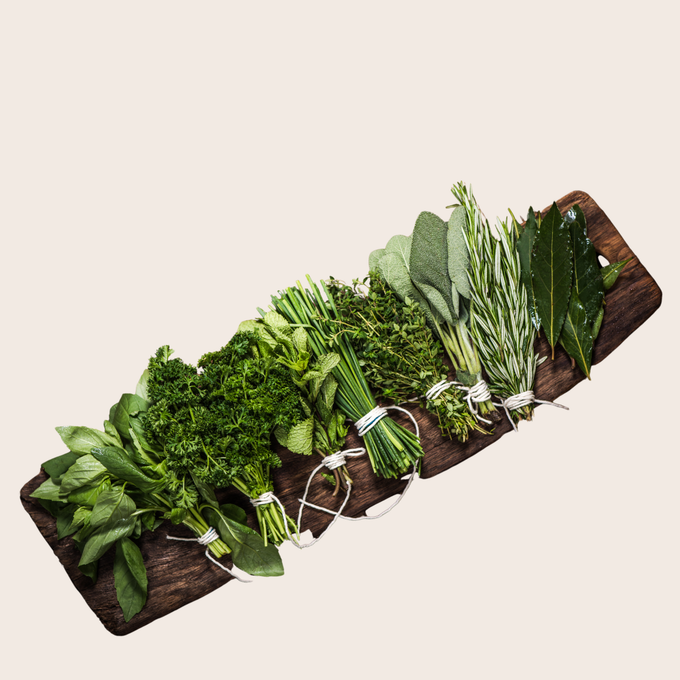 Living Roots Farm