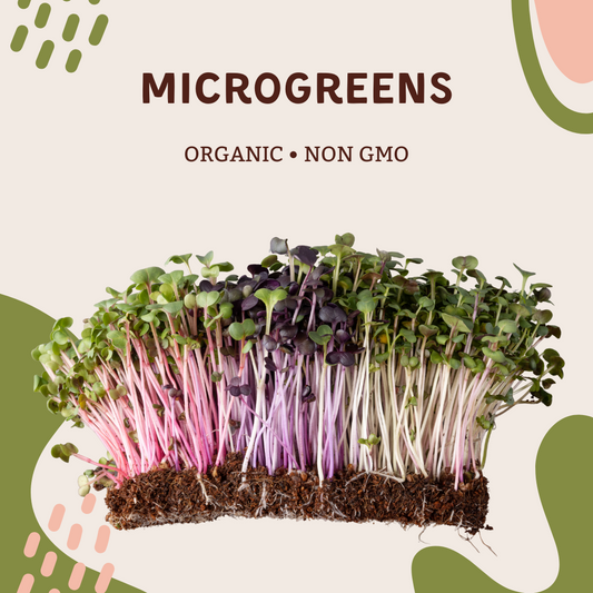 🌱  MicroGreens (Rotational) 1oz