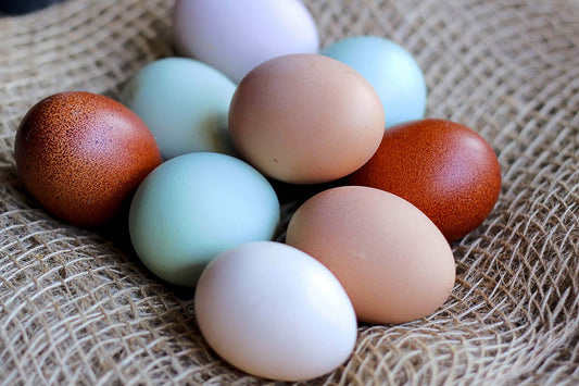 Colorful assortment of fresh organic eggs resting on burlap fabric, perfect for farm fresh grocery subscription.