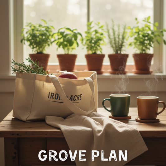The Grove Plan