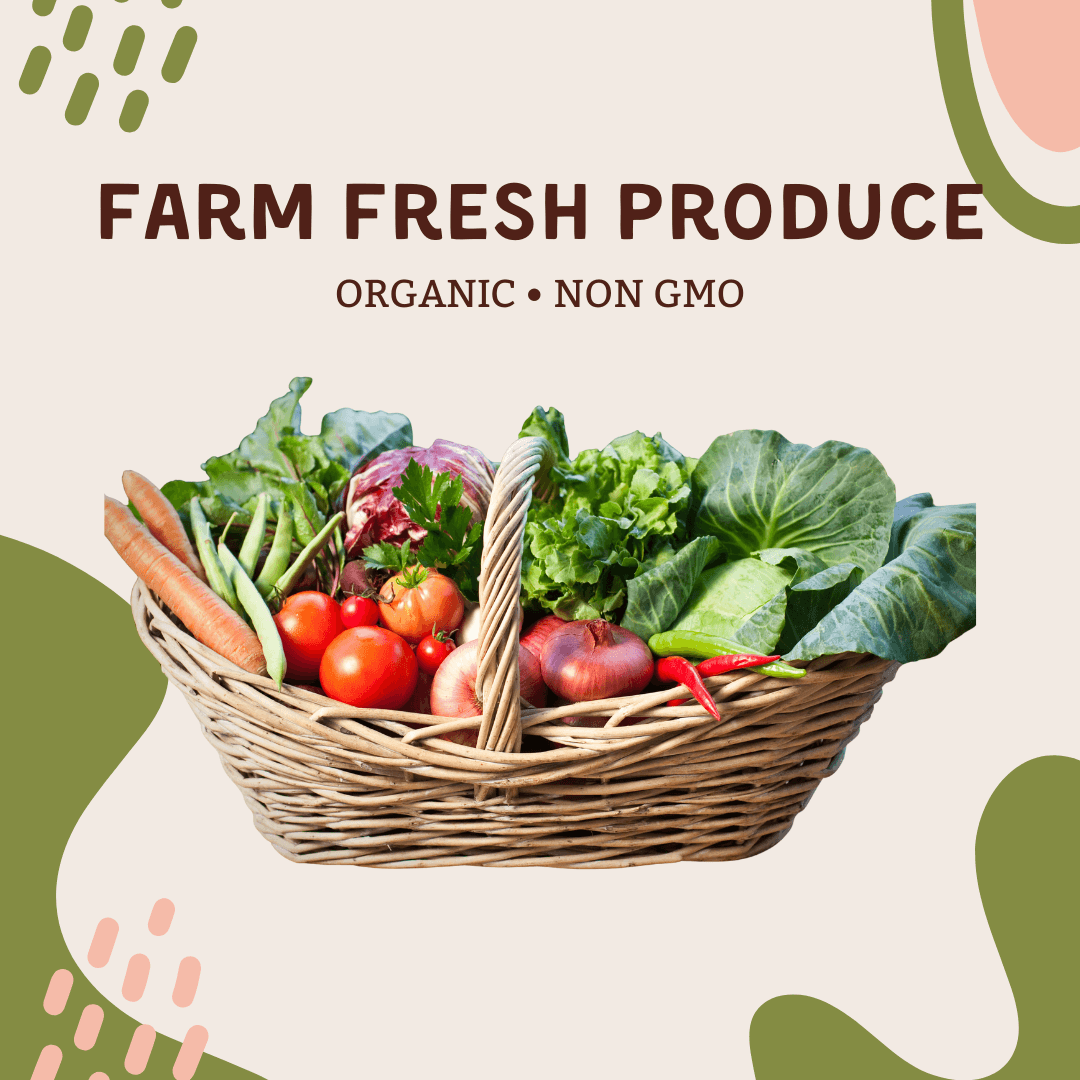 🥬 Garden Boost Plus (6 items of farm fresh produce) in a woven basket with assorted seasonal vegetables.