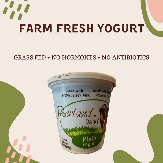 Farm Fresh Plain Yogurt made with 100% Jersey Milk, grass-fed, no hormones or antibiotics, from Deerland Dairy.