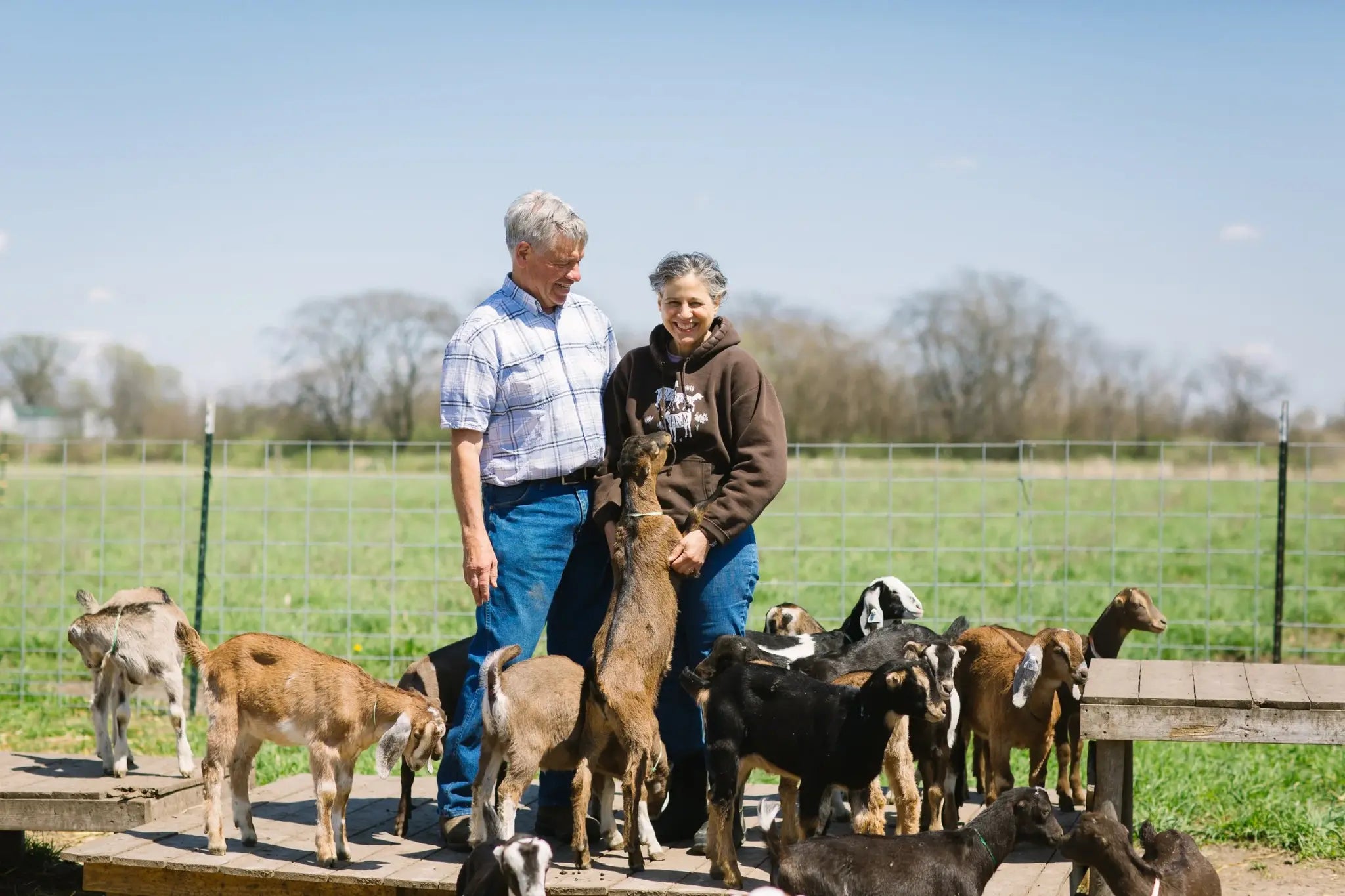 Prairie Fruits Farm & Creamery, Champaign, Illinois